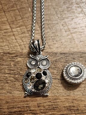 Ginger Snaps Silver Owl Crystal Pendant Necklace - Black and Clear Stones